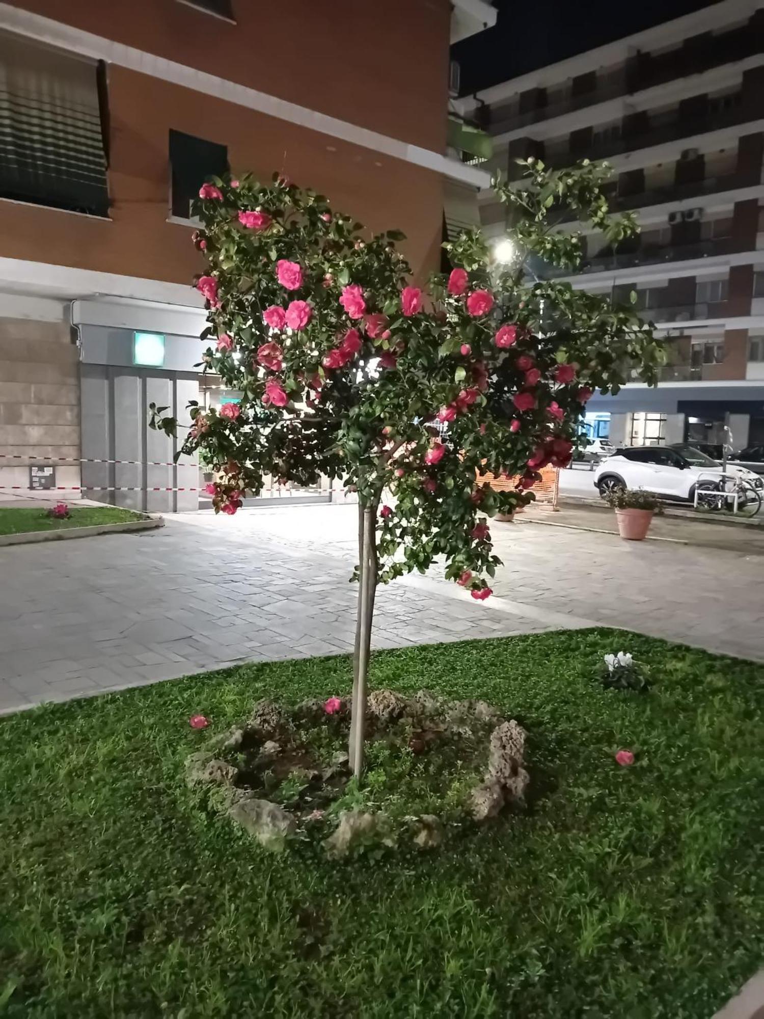 Olimpica Relais Guest House Rome Bagian luar foto