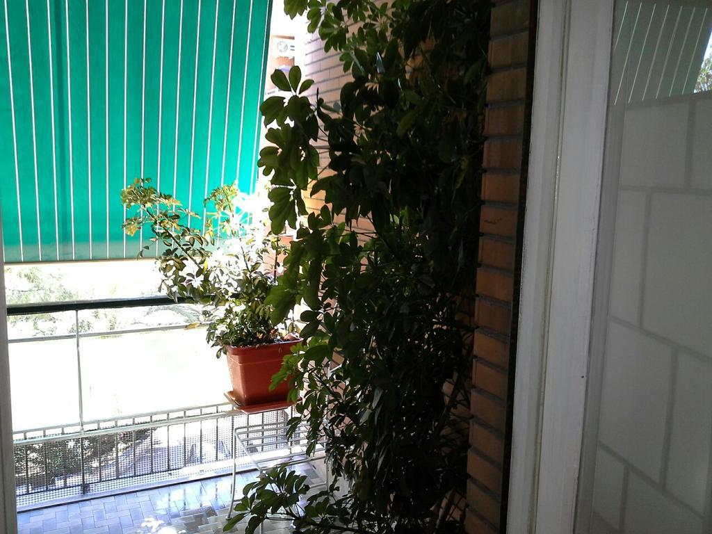 Olimpica Relais Guest House Rome Bagian luar foto