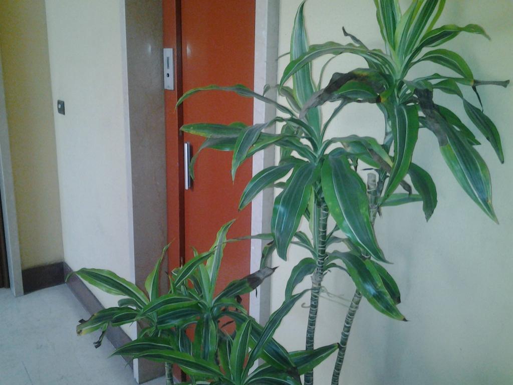 Olimpica Relais Guest House Rome Bagian luar foto